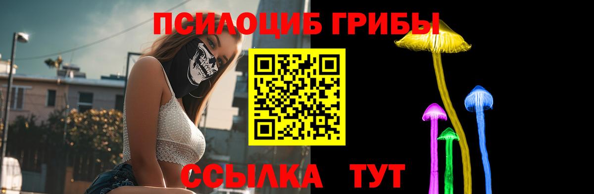 Псилоцибиновые грибы Psilocybine cubensis  Галлюциногенные грибы Psilocybe  Павлово  Вход с VPN 